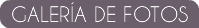 GALERÍA DE FOTOS